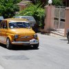 Burgio_2009 (501)